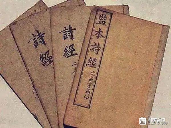 中国文化中的“鹿”：考古发现改写认知，难怪古人说“逐鹿天下”