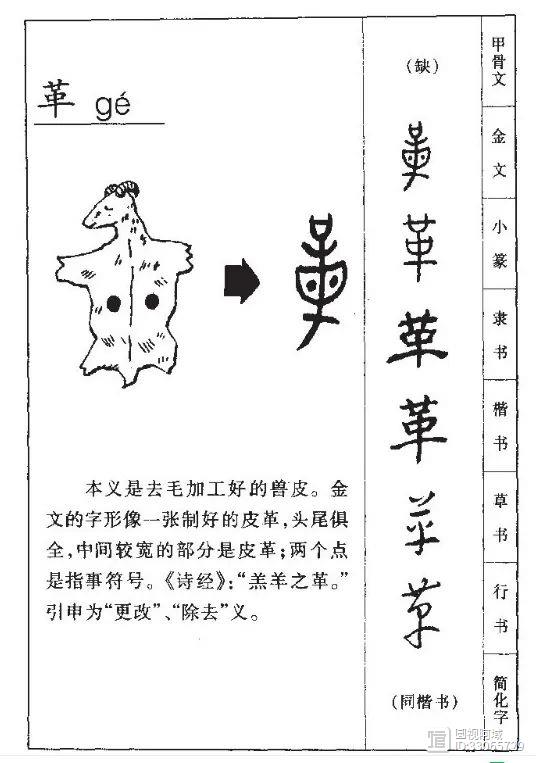 甲骨文演义“革”字：通过对古籍汉字的解读，破解华夏远古文明密码