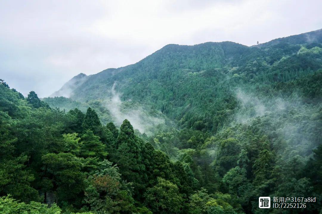 夏天，想你了，让我们见一面吧