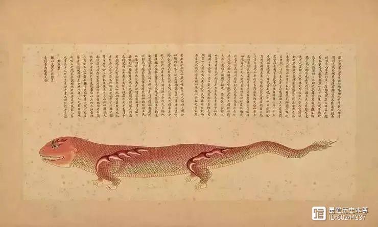 从食人兽到稀罕物：中国巨鳄消亡史