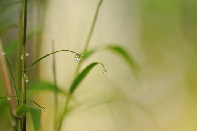 宋代理学家张栻的十首诗词，律回岁晚冰霜少，春到人间草木知