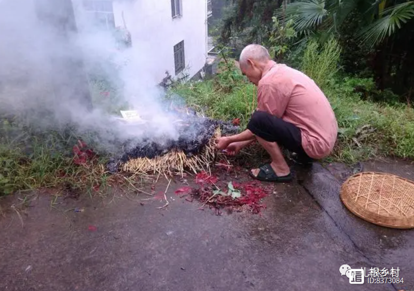 中元节祭祖，老人说“五果不上供桌”，是哪五种水果？老传统要牢记