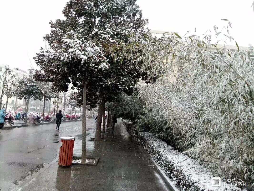 七律  雪夜校归