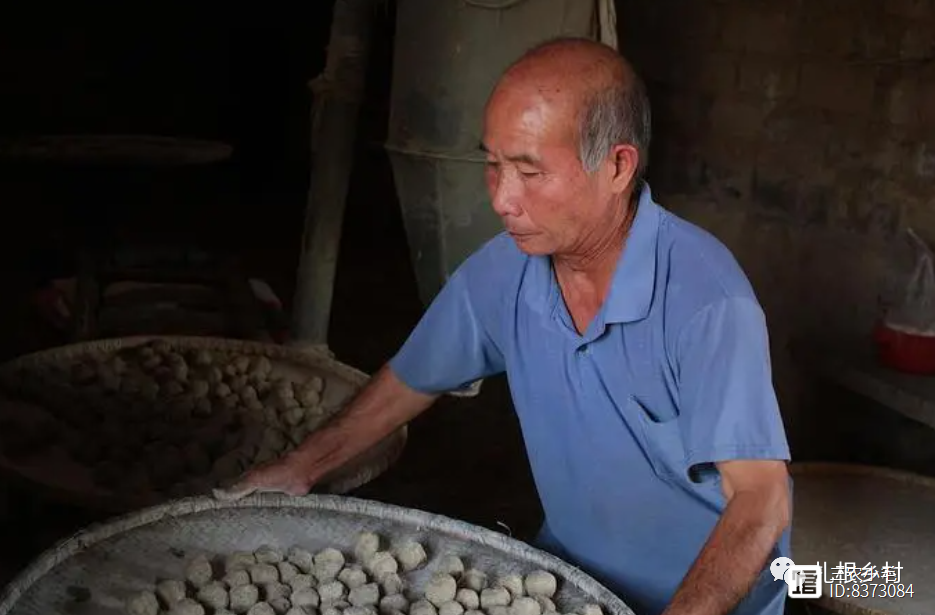 农村酿酒师傅：土酒曲制作别只知道辣蓼草，加入这几种植物也重要