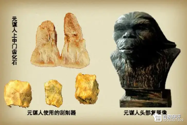 中国现代人起源：考古发现令人费解，中国人“本土连续进化”？