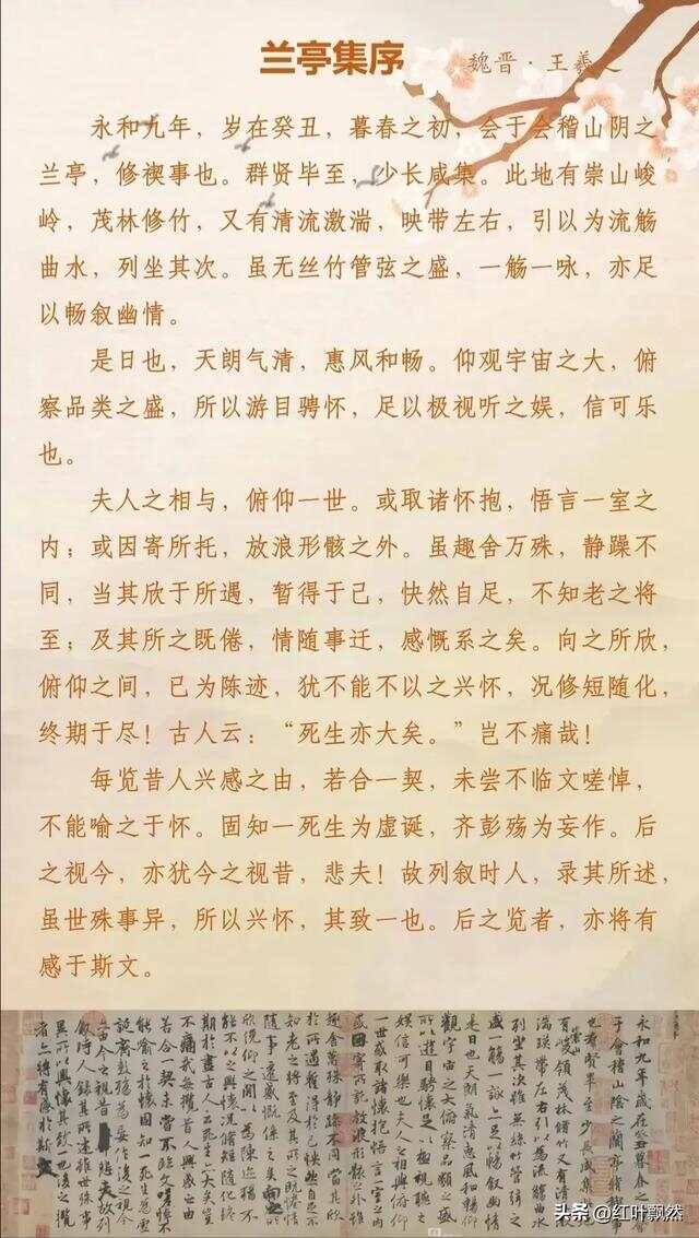 15篇文言文：逍遥游，出师表，滕王阁序…每一篇都值得背诵