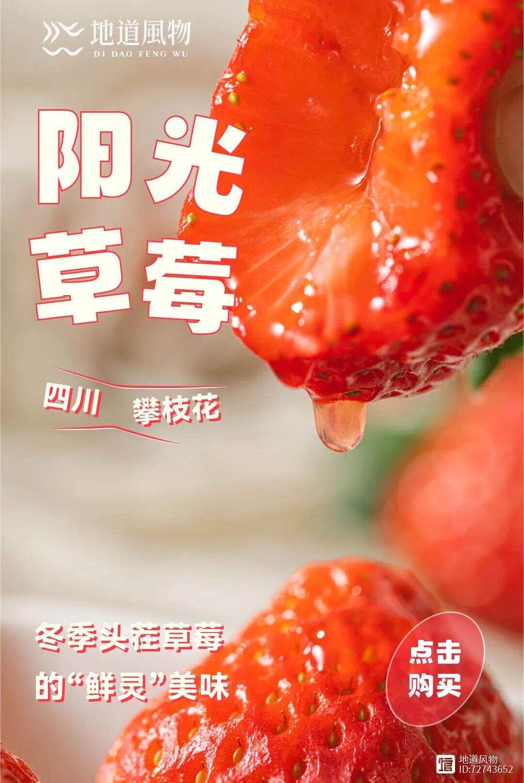 冬日草莓“性价比之王”，不在丹东，不在双流