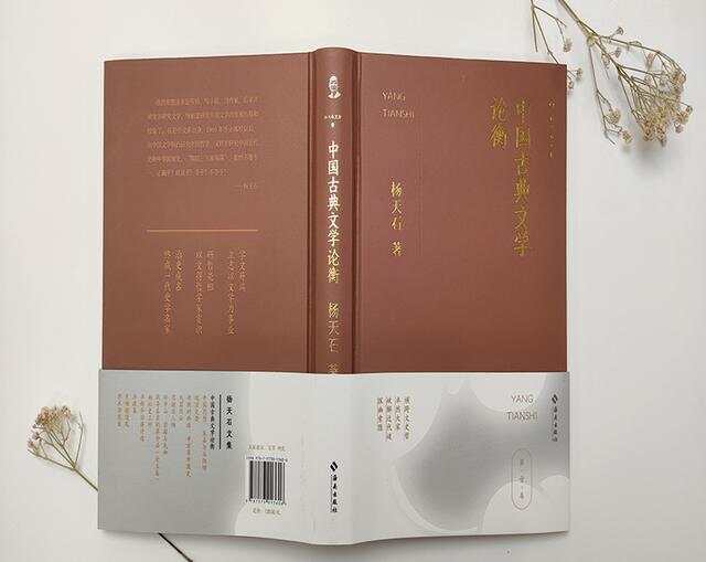 史学名家杨天石谈中国古典文学