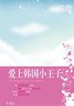 爱上韩国小王子小说全文免费阅读（爱上韩国小王子小说最新章节免费阅读）
