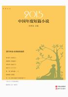 2015中国年度短篇小说